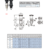 Index Plungers | B03