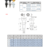 Index Plungers | B10