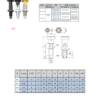 Index Plungers | B11