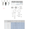 Index Plungers | B12