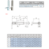 Index Plungers | B32