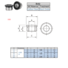 Index Plungers | B38