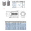 Spring Plunger | F05