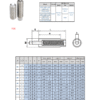 Spring Plunger | F06