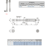 PIN END Spring Plunger | F21