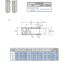 Spring Plunger | F25