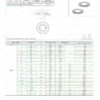 Disk Springs
