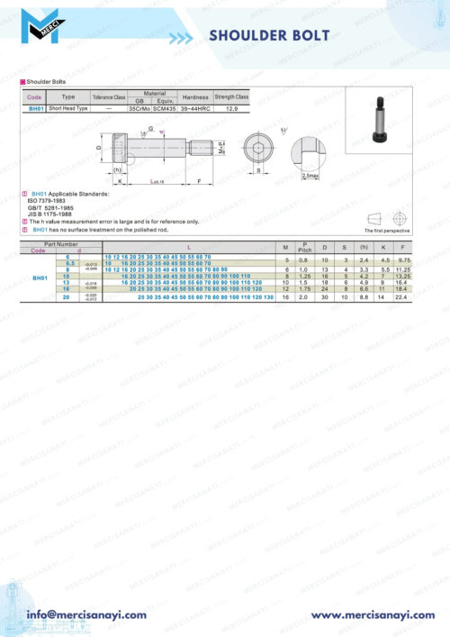 Shoulder Bolt
