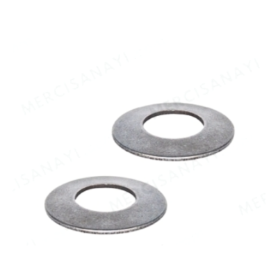 Disk Springs